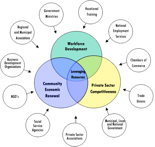 Expertise Examples In Business